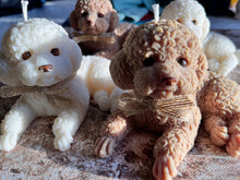 Last inn bildet i Galleri-visningsprogrammet, Dekorlys Hund liggende Puddel