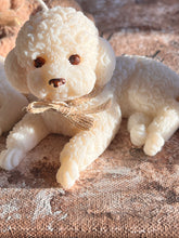 Last inn bildet i Galleri-visningsprogrammet, Dekorlys Hund liggende Puddel