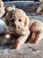 Last inn bildet i Galleri-visningsprogrammet, Dekorlys Hund liggende Puddel