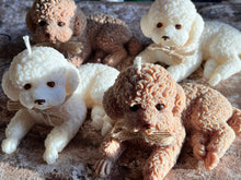 Last inn bildet i Galleri-visningsprogrammet, Dekorlys Hund liggende Puddel