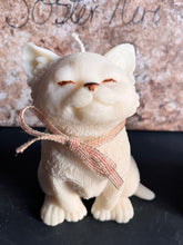 Last inn bildet i Galleri-visningsprogrammet, Dekorlys Katt