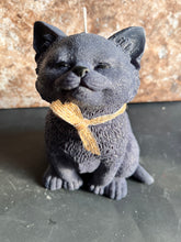 Last inn bildet i Galleri-visningsprogrammet, Dekorlys Katt