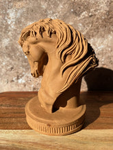 Last inn bildet i Galleri-visningsprogrammet, Jesmonite Hestehode