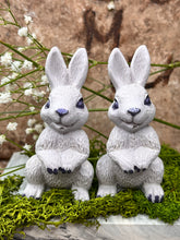 Last inn bildet i Galleri-visningsprogrammet, Jesmonite Harepus