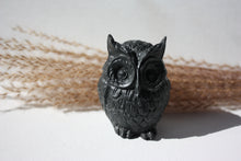 Last inn bildet i Galleri-visningsprogrammet, Jesmonite Ugle