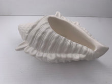 Last inn bildet i Galleri-visningsprogrammet, Jesmonite Konkylie