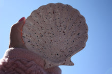 Last inn bildet i Galleri-visningsprogrammet, Jesmonite Skjell