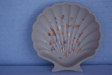 Last inn bildet i Galleri-visningsprogrammet, Jesmonite Skjell