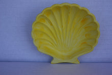 Last inn bildet i Galleri-visningsprogrammet, Jesmonite Skjell