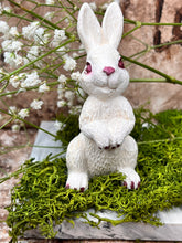 Last inn bildet i Galleri-visningsprogrammet, Jesmonite Harepus