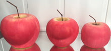 Last inn bildet i Galleri-visningsprogrammet, Dekorlys Eple
