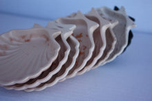 Last inn bildet i Galleri-visningsprogrammet, Jesmonite Skjell