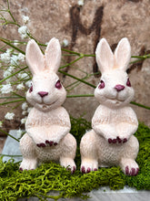 Last inn bildet i Galleri-visningsprogrammet, Jesmonite Harepus