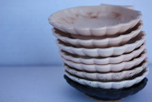 Last inn bildet i Galleri-visningsprogrammet, Jesmonite Skjell