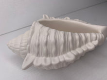 Last inn bildet i Galleri-visningsprogrammet, Jesmonite Konkylie