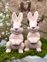 Last inn bildet i Galleri-visningsprogrammet, Jesmonite Harepus