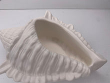 Last inn bildet i Galleri-visningsprogrammet, Jesmonite Konkylie