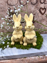 Last inn bildet i Galleri-visningsprogrammet, Jesmonite Harepus