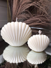 Last inn bildet i Galleri-visningsprogrammet, Dekorlys Skjell