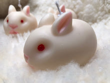 Last inn bildet i Galleri-visningsprogrammet, Dekorlys Kanin