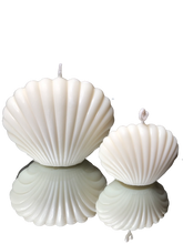 Last inn bildet i Galleri-visningsprogrammet, Dekorlys Skjell