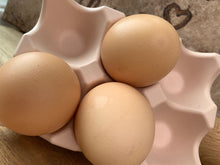 Last inn bildet i Galleri-visningsprogrammet, Jesmonite Eggeholder