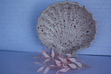 Last inn bildet i Galleri-visningsprogrammet, Jesmonite Skjell