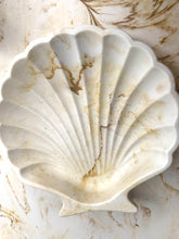 Last inn bildet i Galleri-visningsprogrammet, Jesmonite Skjell