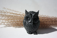 Last inn bildet i Galleri-visningsprogrammet, Jesmonite Ugle