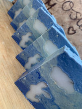 Last inn bildet i Galleri-visningsprogrammet, Såpe Harepus