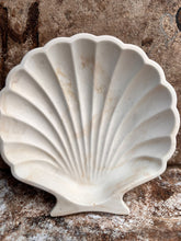 Last inn bildet i Galleri-visningsprogrammet, Jesmonite Skjell